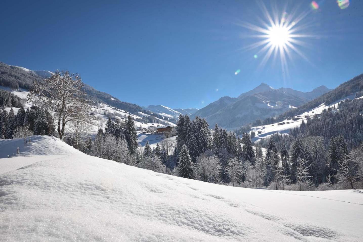 Alpapart Schneider Alpbach Exterior photo