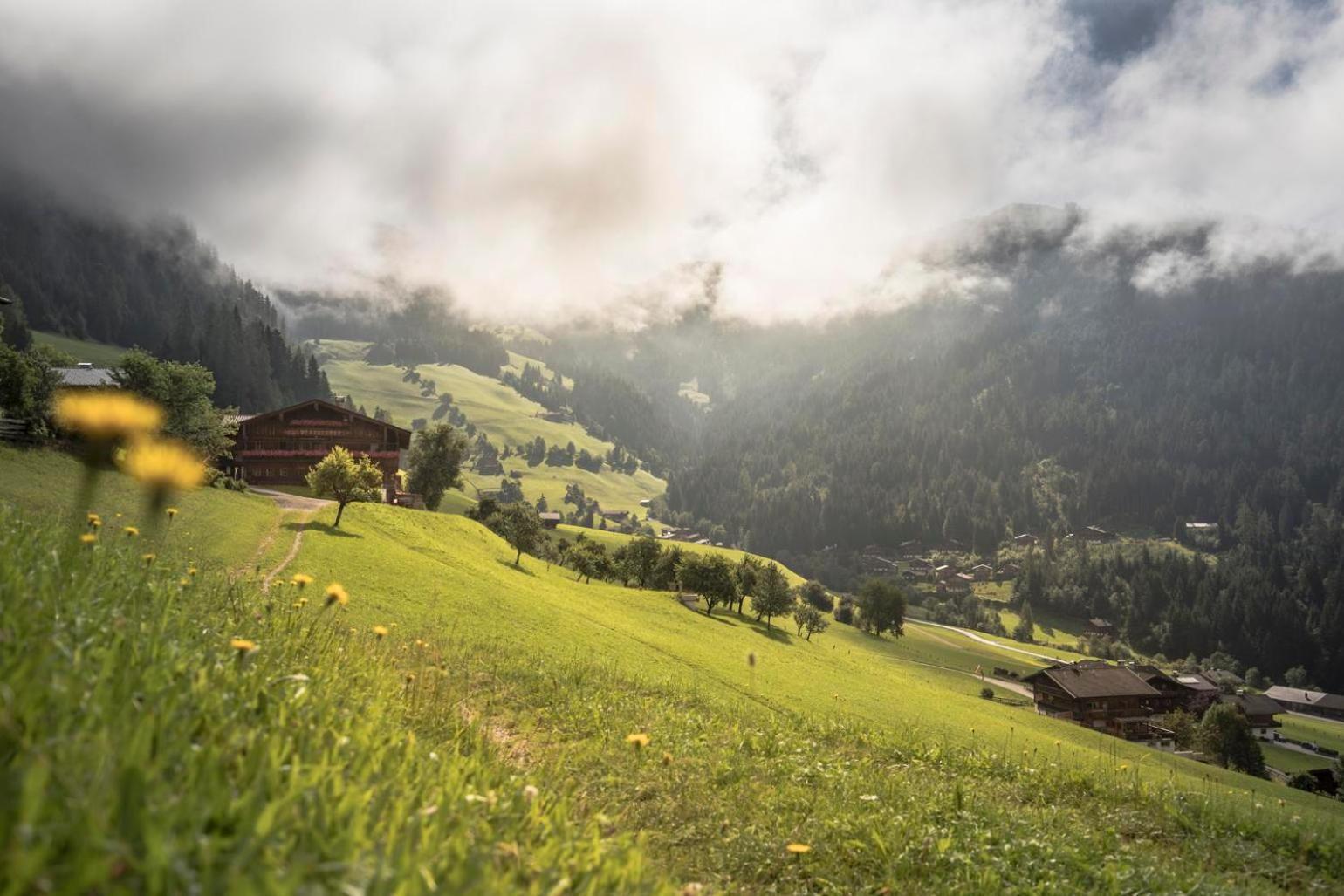 Alpapart Schneider Alpbach Exterior photo